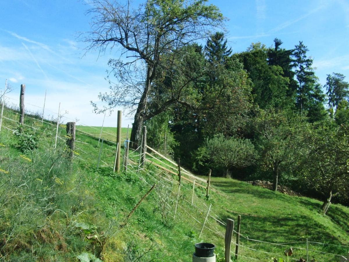 Ferienhäuser Grabenhansl Stubenberg Exterior foto