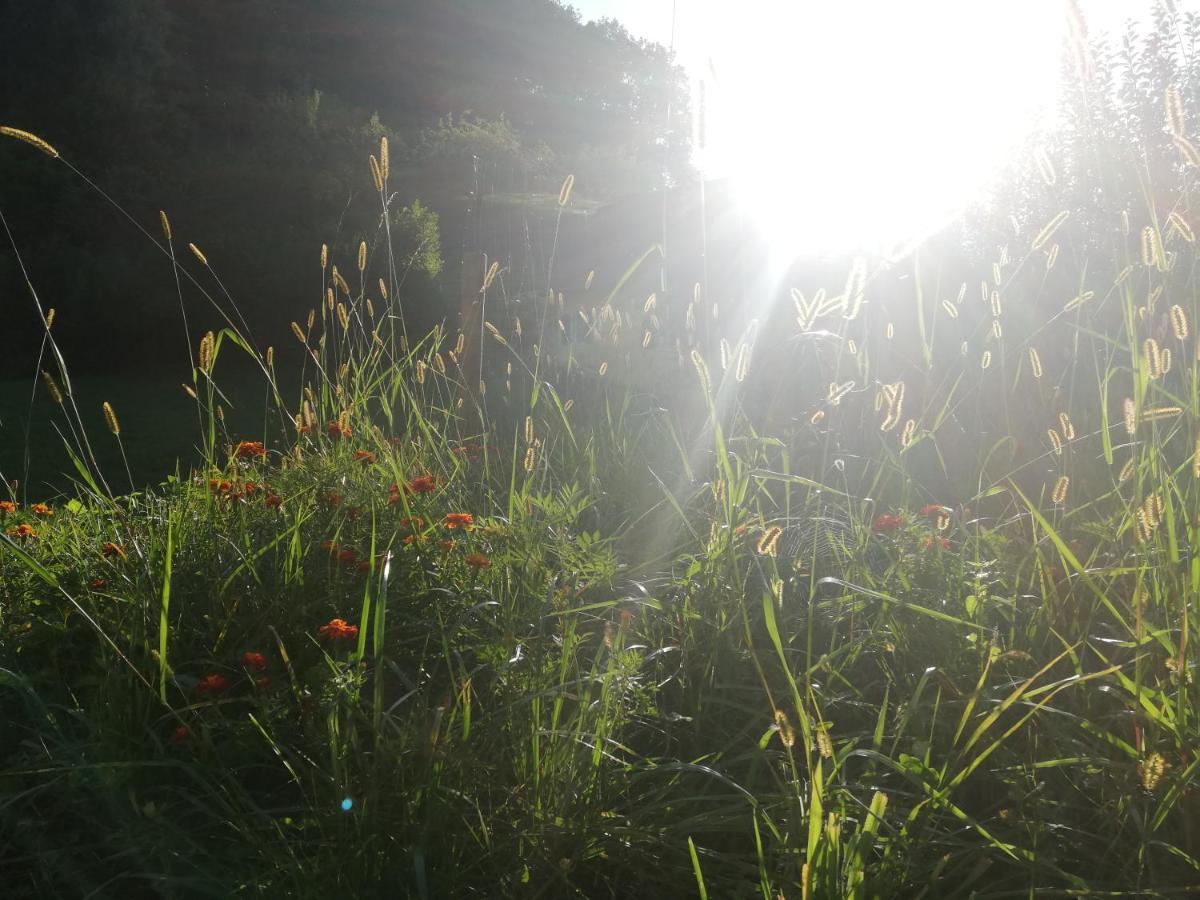 Ferienhäuser Grabenhansl Stubenberg Exterior foto