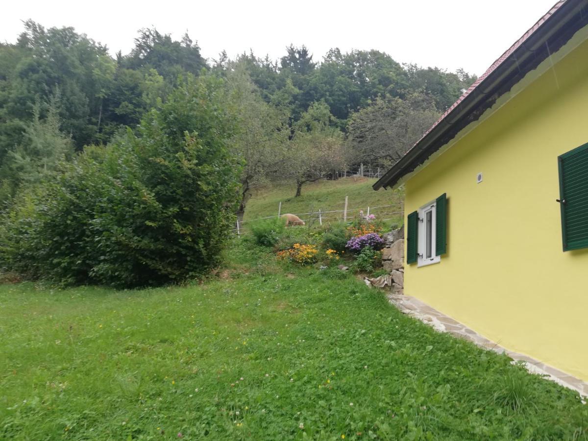 Ferienhäuser Grabenhansl Stubenberg Exterior foto