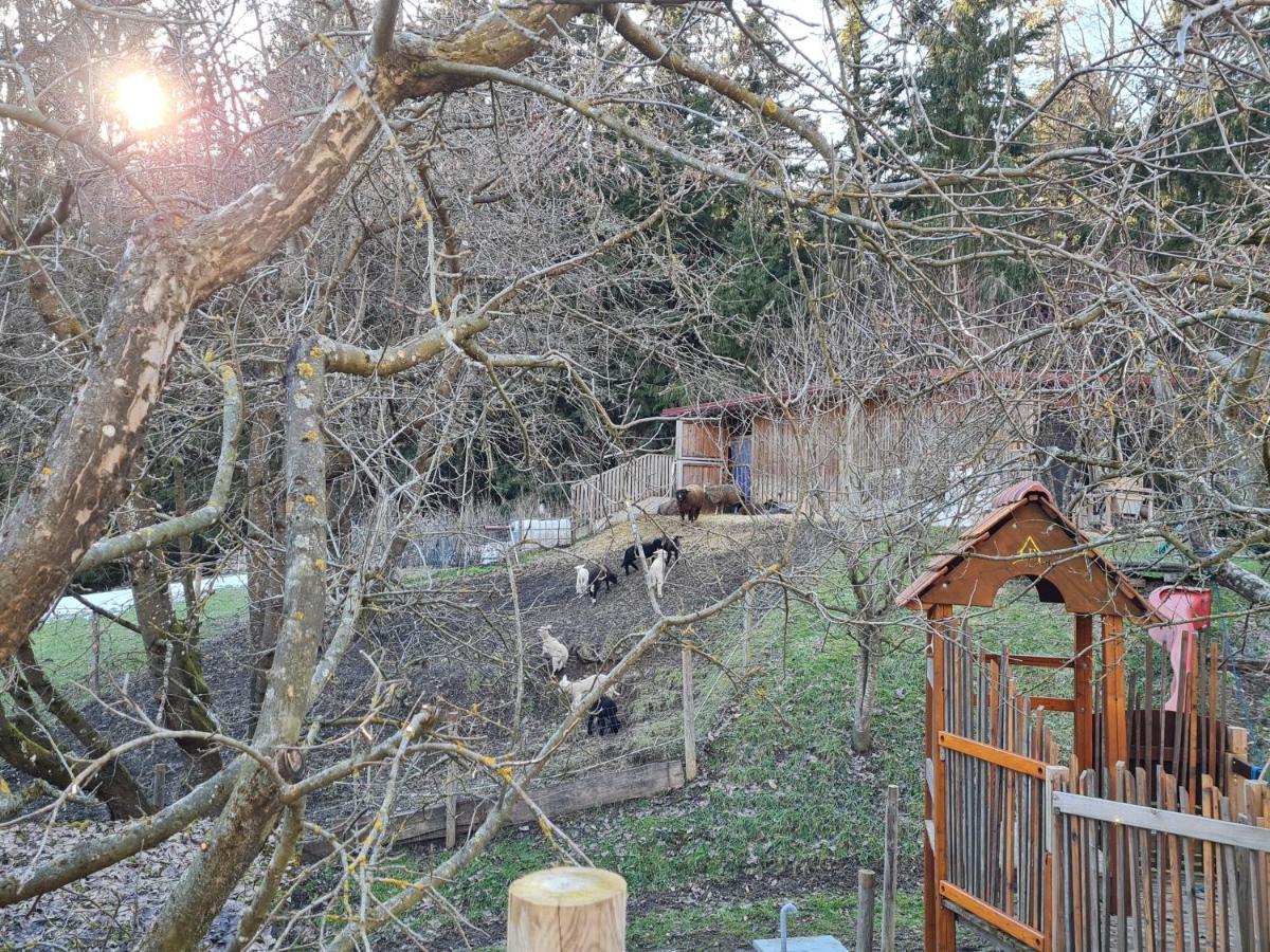 Ferienhäuser Grabenhansl Stubenberg Exterior foto