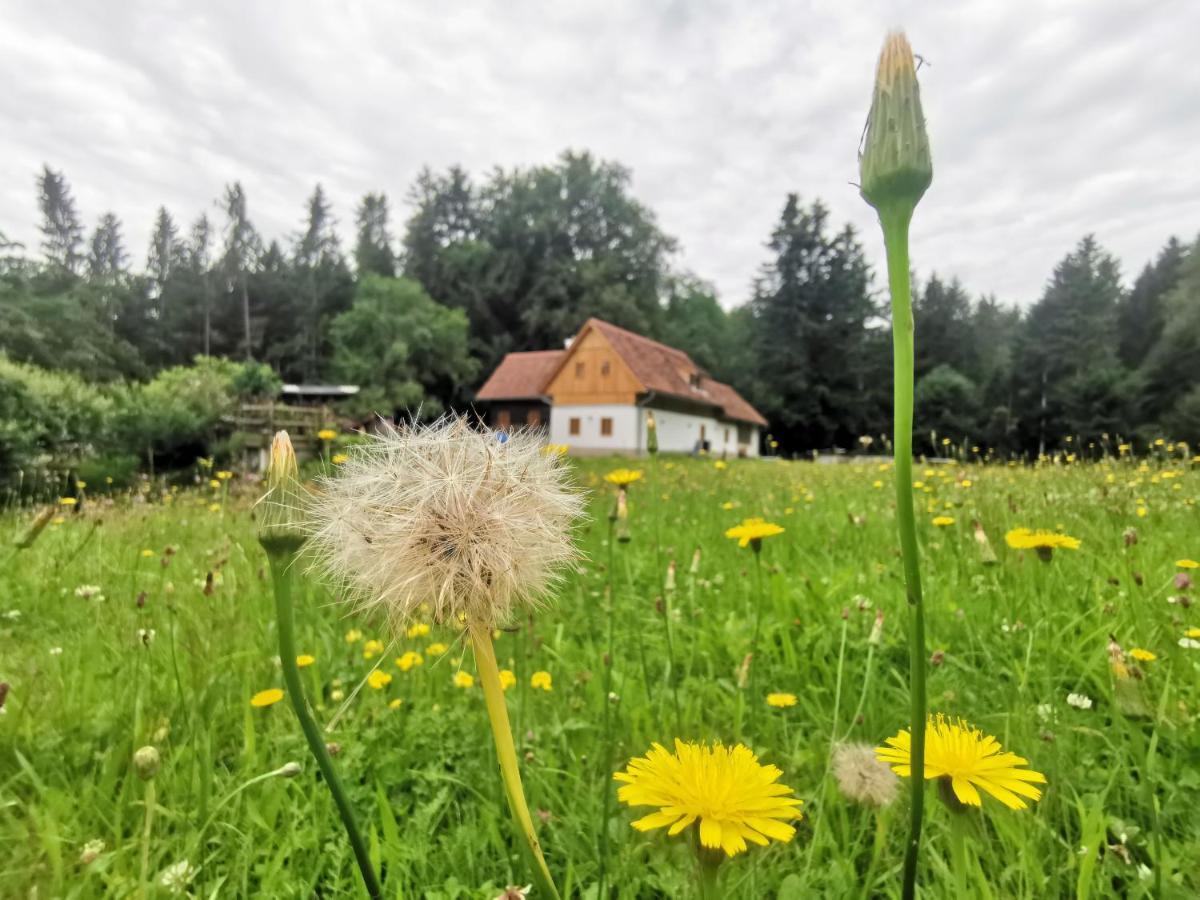 Ferienhäuser Grabenhansl Stubenberg Exterior foto