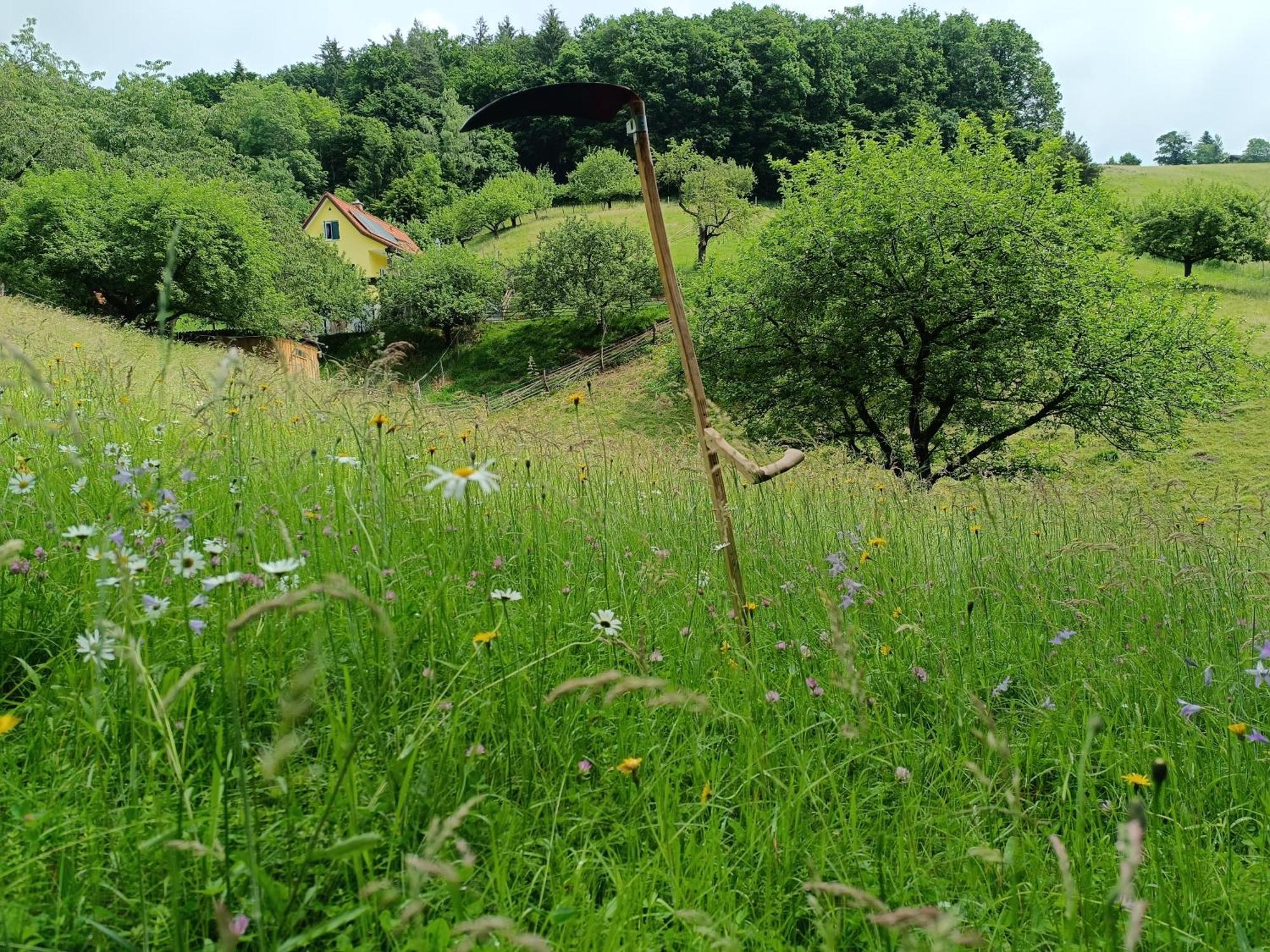 Ferienhäuser Grabenhansl Stubenberg Exterior foto
